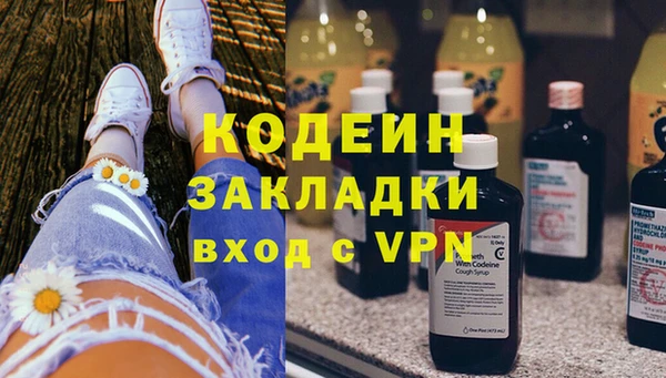 бошки Иннополис