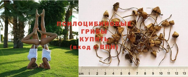 бошки Иннополис