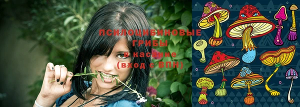 гидропоника Инсар