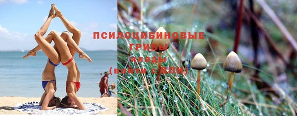 бошки Иннополис