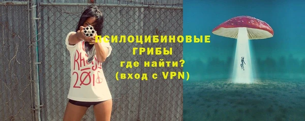 бошки Иннополис